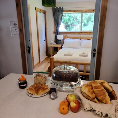 Grizzly Paw B&B Clearwater Eksteriør bilde